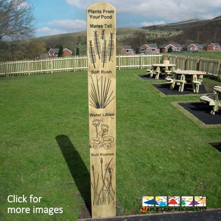 Inspire children's understanding of Plants with our engraved Totem Pole. Providing your playground with a valuable teaching aid, children can easily identify plants and wildlife. This is great for schools in rural areas, allowing children to engage with their surroundings, as well as metropolitan areas, where children may not see as much greenery. These engravings can be customised to suit your requirements and surroundings. Totem poles are a great way to enhance imaginative, social, sensory and tactile play, as children can touch the individual engravings to figure out the plants.