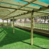 Timber Pergola with Green Mesh Roof