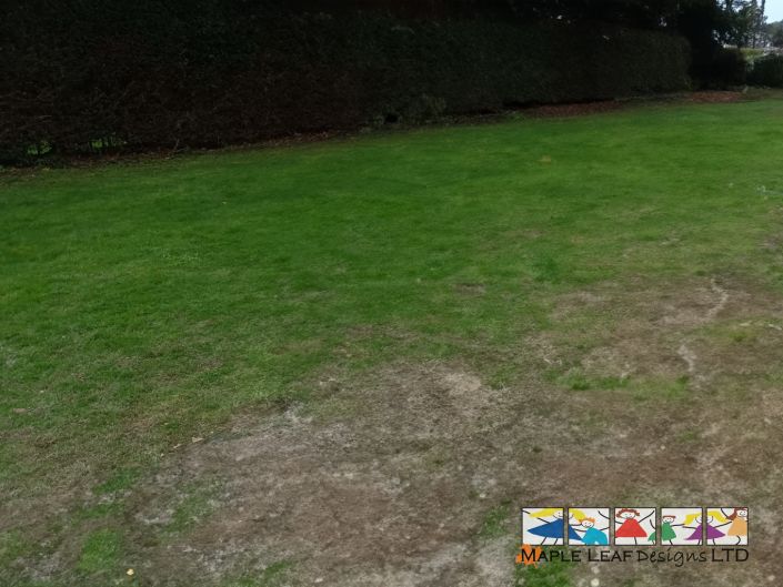 Trim Trail Area Before – 1