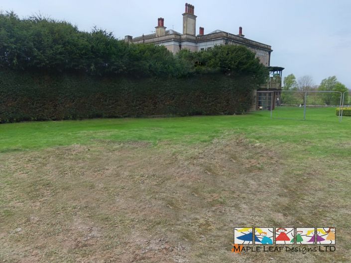 Trim Trail Area Before – 3