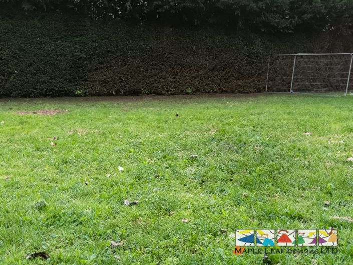 Trim Trail Area Before – 4