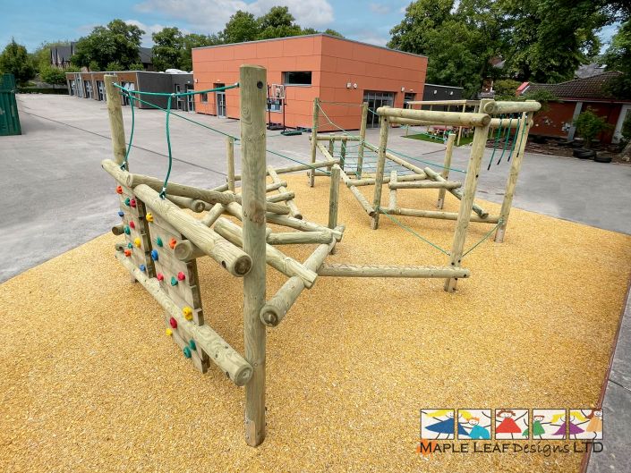 Driftwood Climber Mammoth – Cavandish 06-24 (1)