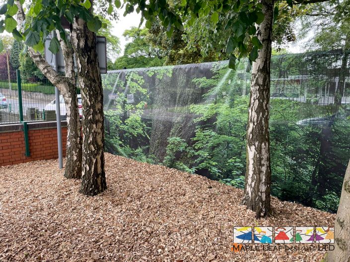 St Wilfrid’s CA June 2024 – 11