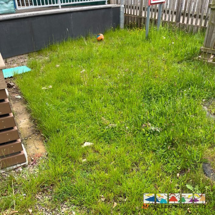 IMG-20240522-WA0006-1