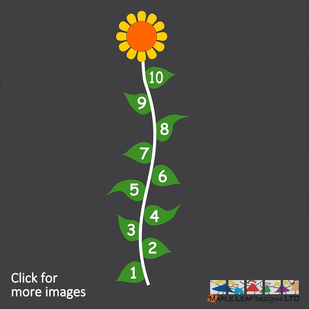 Hopscotch Flower Markings By Maple Leaf Designs The One Stop hopscotch-flower-markings-by-maple-leaf-designs-the-one-stop
